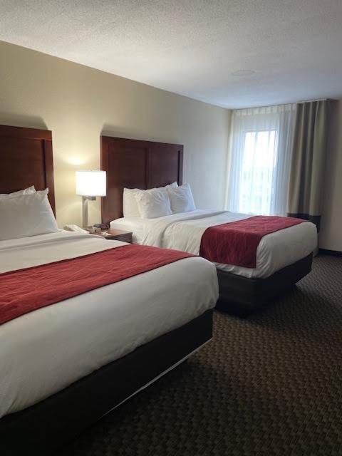 Comfort Inn Ebensburg Buitenkant foto